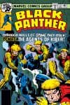 Black Panther (1977) #12 cover