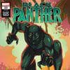 Black Panther (2018) #23 (Variant)