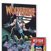 WOLVERINE CLASSIC (Trade Paperback)