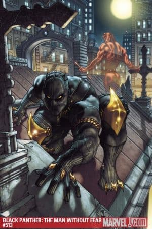 Black Panther: The Man Without Fear (2010 - 2011)