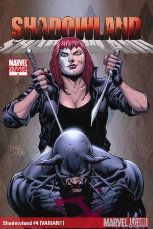 Shadowland (2010) #4 (VARIANT)