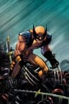 Wolverine MGC (2011) #1 cover