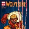 Wolverine (2010) #310 (Mcguinness Variant)