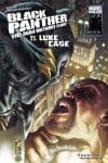 Black Panther: The Man Without Fear (2010) #517 cover