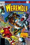 Werewolf by Night (1972) #43 cover