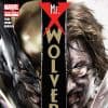 Wolverine: Mr. X (2010) #1