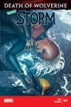 Storm (2014) #4 cover