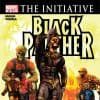 Black Panther (2005) #29