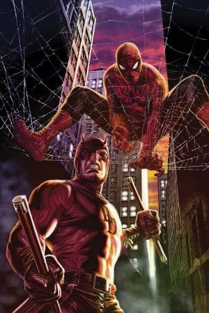 Amazing Spider-Man (1999) #677 (Bermejo Variant)