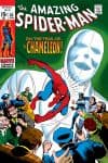 The Amazing Spider-Man (1963) #80 cover