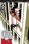 Punishermax (2009) #12 cover