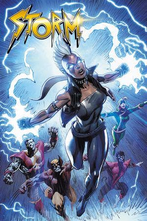 STORM: BLOWBACK (Trade Paperback)