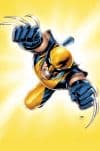 Wolverine Magazine (2009) #1 cover