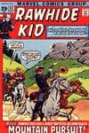 Rawhide Kid (1955) #93 cover