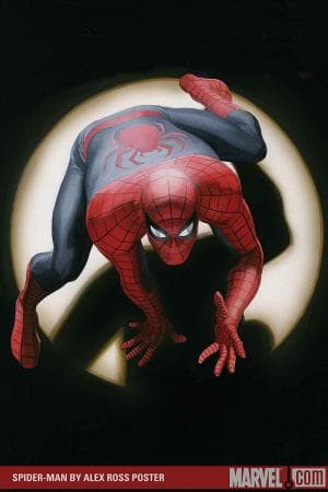 Spider-Man by Alex Ross (2008)