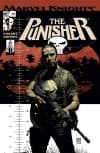 Punisher (2001) #13 cover