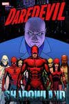 DAREDEVIL: SHADOWLAND OMNIBUS HC CASSADAY COVER [NEW PRINTING] (Hardcover) cover