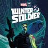Winter Soldier (2012) #17 (Brunner Variant)