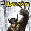 Wolverine (2020) #49 (Variant)