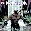Wakanda (2022) #2 (Variant)