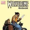 Wolverine: Saudade (2008) #1