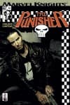 Punisher (2001) #12 cover