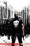 Punisher Max (2004) #45 cover