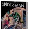 Marvel Masterworks: The Amazing Spider-Man Vol. 2 (2009 - Present)