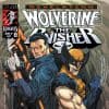 Wolverine/Punisher: Revelation (1999) #2