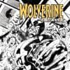 Wolverine: The Best There Is (2010) #1 (HITCH VARIANT)