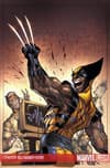 X-Factor (2005) #25 (Variant) cover