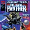 Black Panther (1998) #25