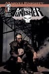 Punisher (2001) #24 cover