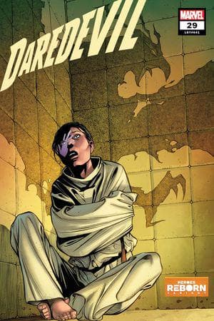 Daredevil (2019) #29 (Variant)