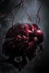 Carnage (2010) #1 (CARNAGE VARIANT) cover