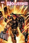 Wolverine (2020) #20 (Variant) cover