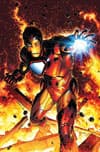 Invincible Iron Man (2008) #2 (PETERSON (50/50 COVER)) cover