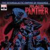 Black Panther (2018) #20