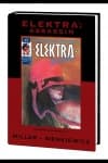 Elektra: Assassin (Hardcover) cover