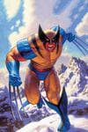 Wolverine: Madripoor Knights (2024) #2 (Variant) cover