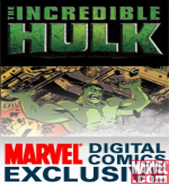 Incredible Hulk: The Fury Files (2008) #1