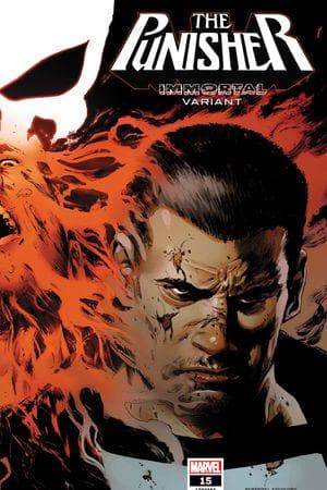 The Punisher (2018) #15 (Variant)