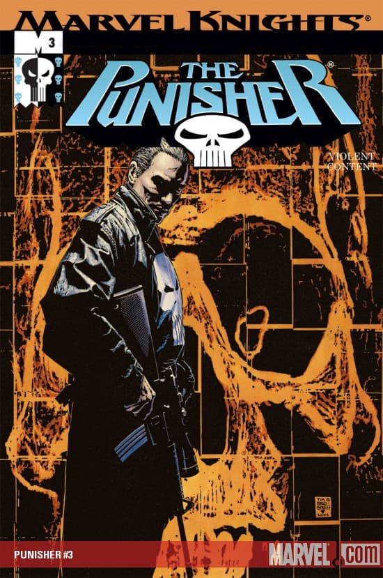 Punisher (2001) #3
